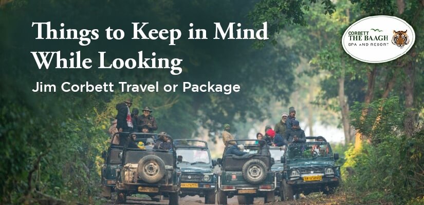 Jim Corbett Travel or Package